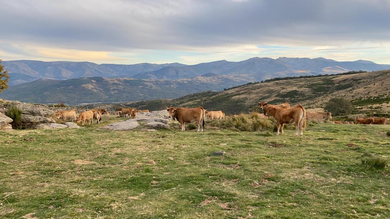 El Pajar De Tio Mariano Villa Solana de Avila Kültér fotó